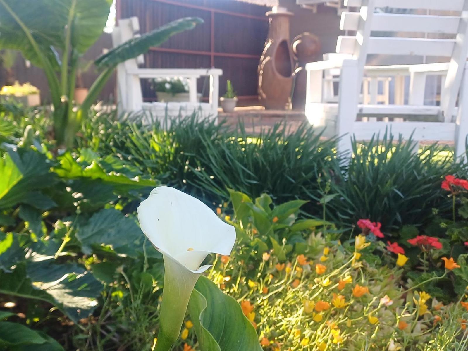 Ceelee'S Place Bloemfontein Exteriér fotografie